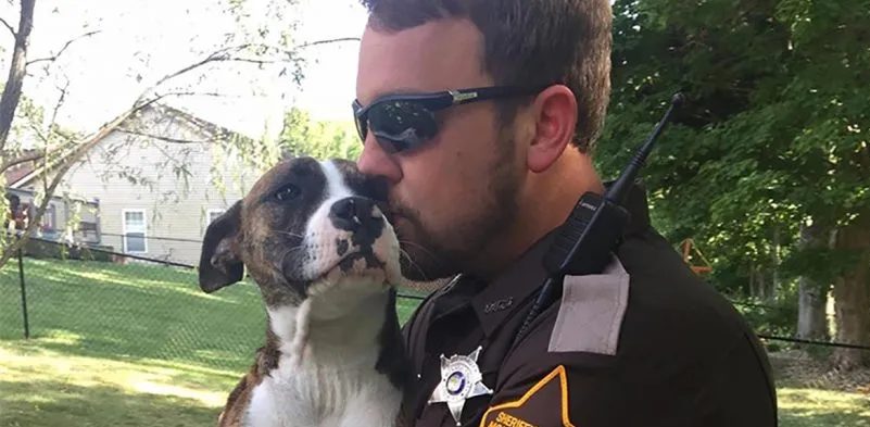  A stray dog abandoned in a park by her owners was adopted by the police officer who saved her.