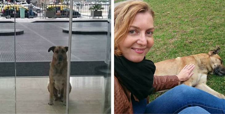  The dog found his owner in airport. This was a touching story.