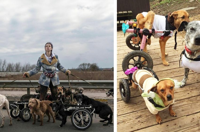  Irpin canines with disabilities were evacuated by a 20-year-old Ukrainian.