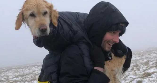  Hikers save a golden retriever that had been missing for two weeks in the cold Wicklow highlands.
