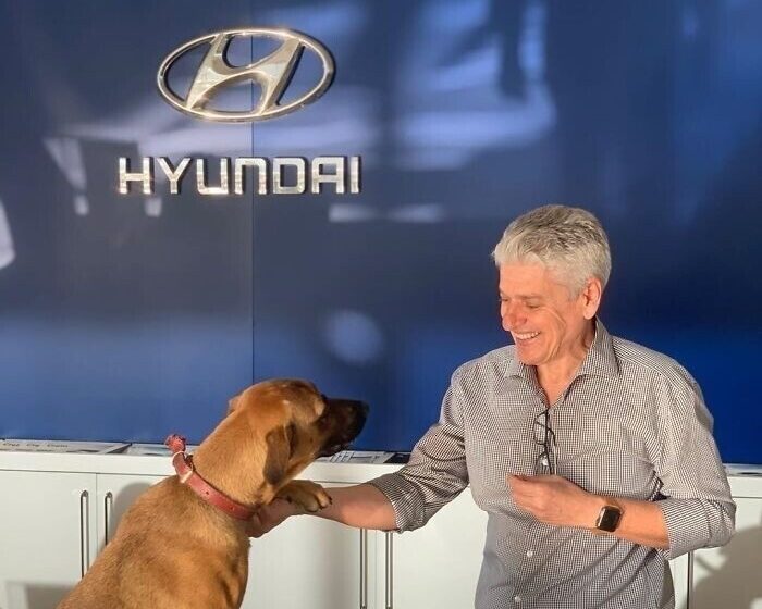  An Adorable Stray Dog Has Been Given A Job As A “Car Consultant” At A Hyundai Dealership In Brazil