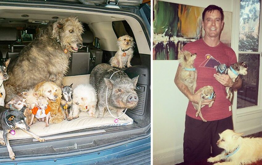  Man Dedicates His Life To Adopting Senior Dogs Who Can’t Find A Forever Home