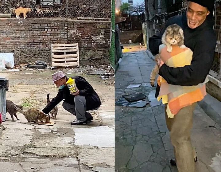  This Blind Cat Thanked The Man Who Found Her On The Street