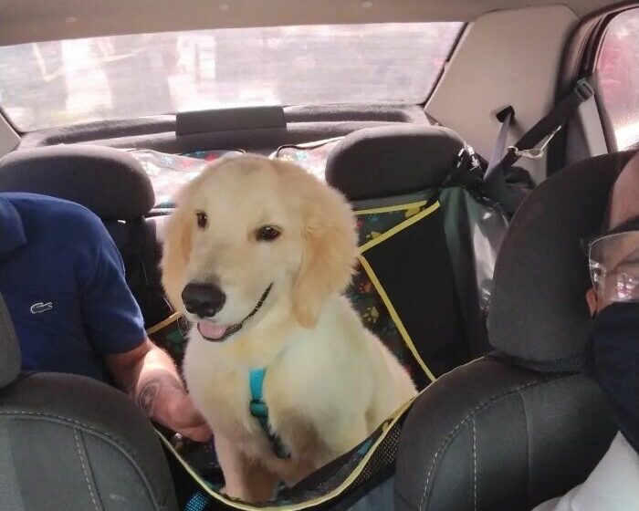  A Cab Driver Shows Off His Best Passengers