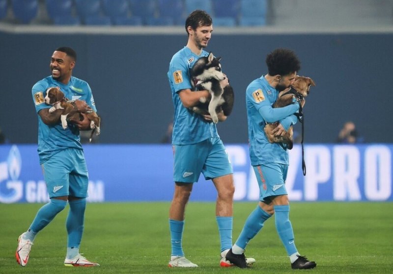  Soccer Players Came Out To The Match With Puppies