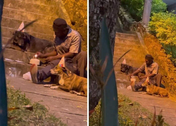  Homeless Man Was Seen In The Park Throwing A Party For His Dogs
