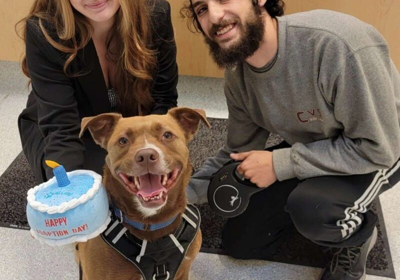  Dog Who Waited For A Home For 279 Days Is So Excited For His First Family Photo