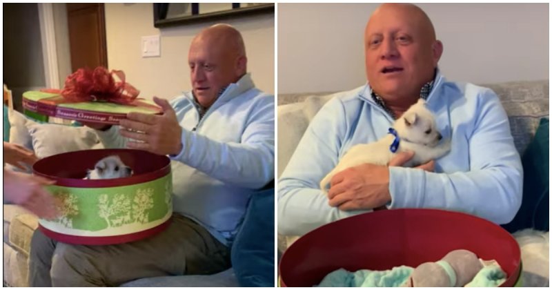  Daughters Surprise Dad With Westie Puppy