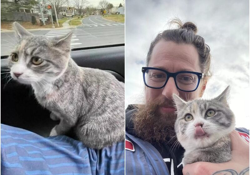  Guy Running To The Bank Did Not Expect To Rescue A Kitten Today