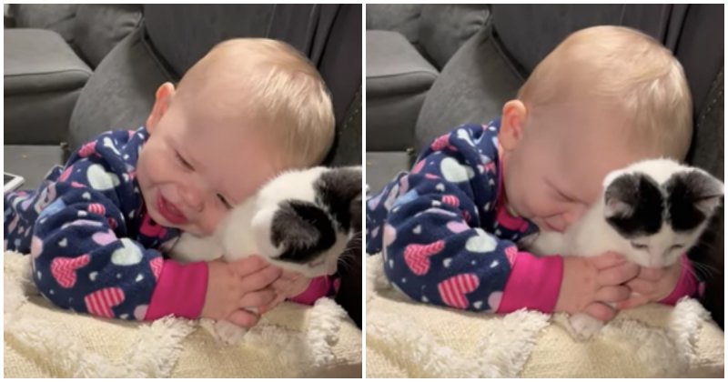 Baby Meets Furry Friend For The First Time And Her Reaction Is Priceless