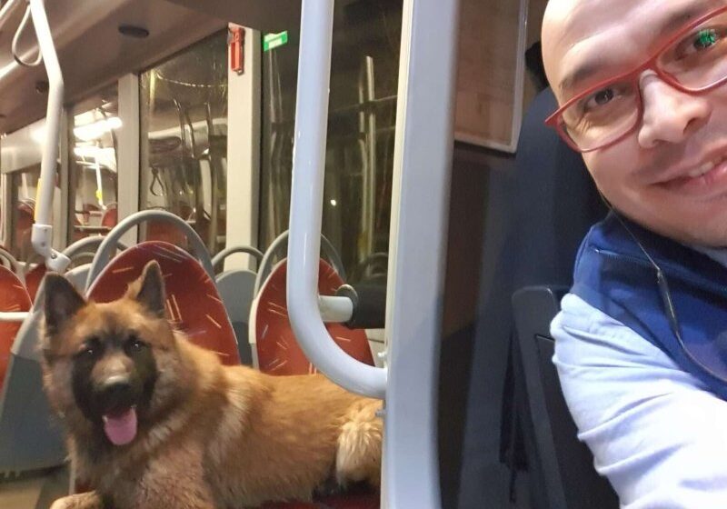  Bus Driver Saw A Dog On The Roadside And Couldn’t Just Get Past It
