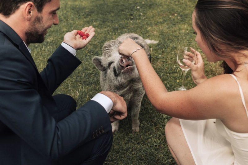  Couple Had Wedding Photoshoot With Unusual Pet