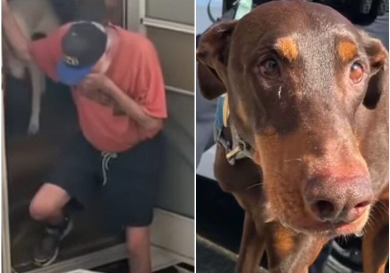  Man Bursts Into Tears As Cop Reunites Him With Missing Dog