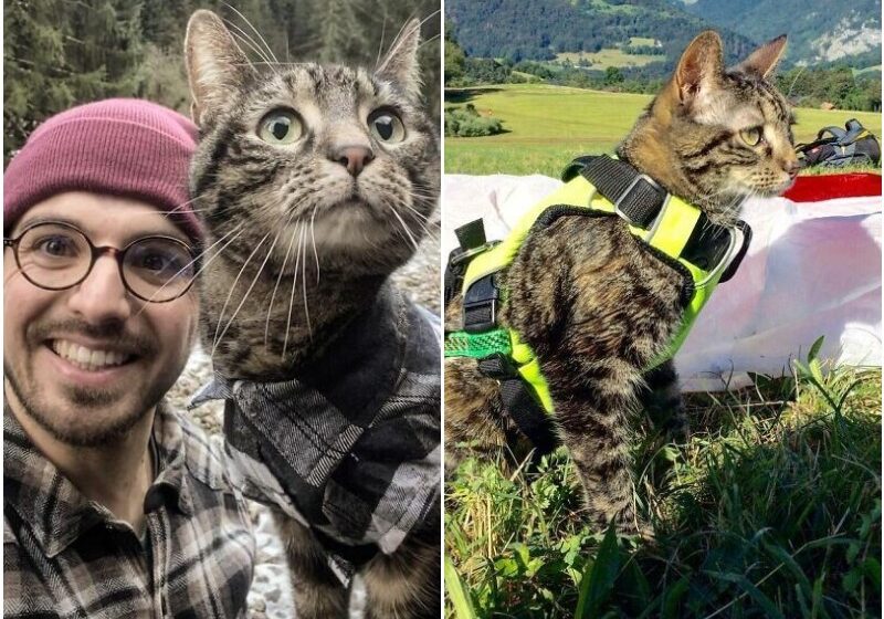  Owner Brings His Cat Everywhere And They Go On All Kinds Of Crazy Adventures Together