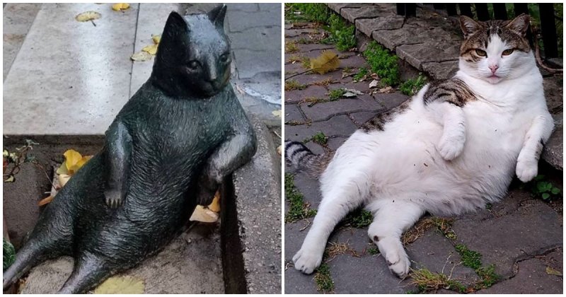  The Sweet Kitty Got A Statue Erected In His Honor